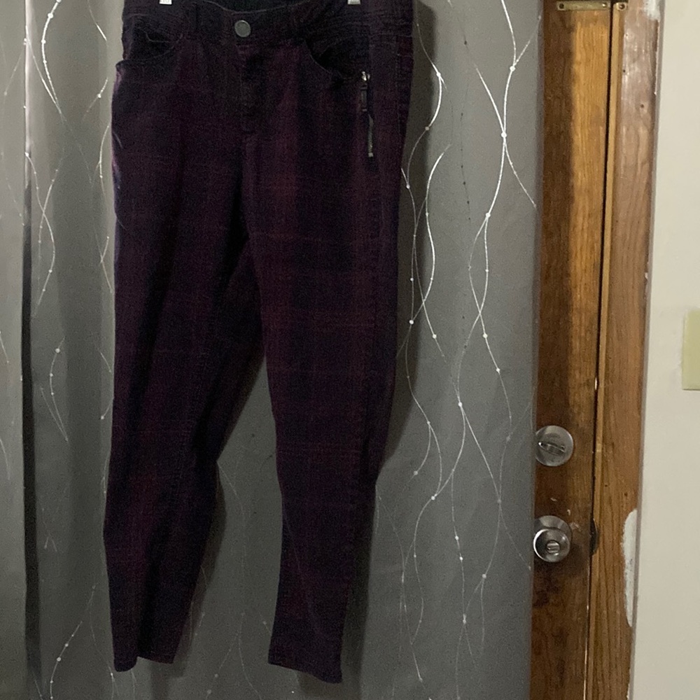 Democracy Dark Plum Skinny Pants